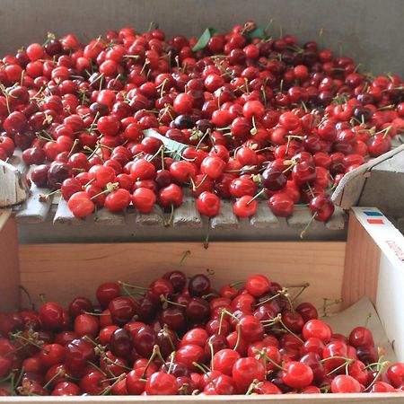 Les Vergers De La Bouligaire Gites 米尔芒德 外观 照片